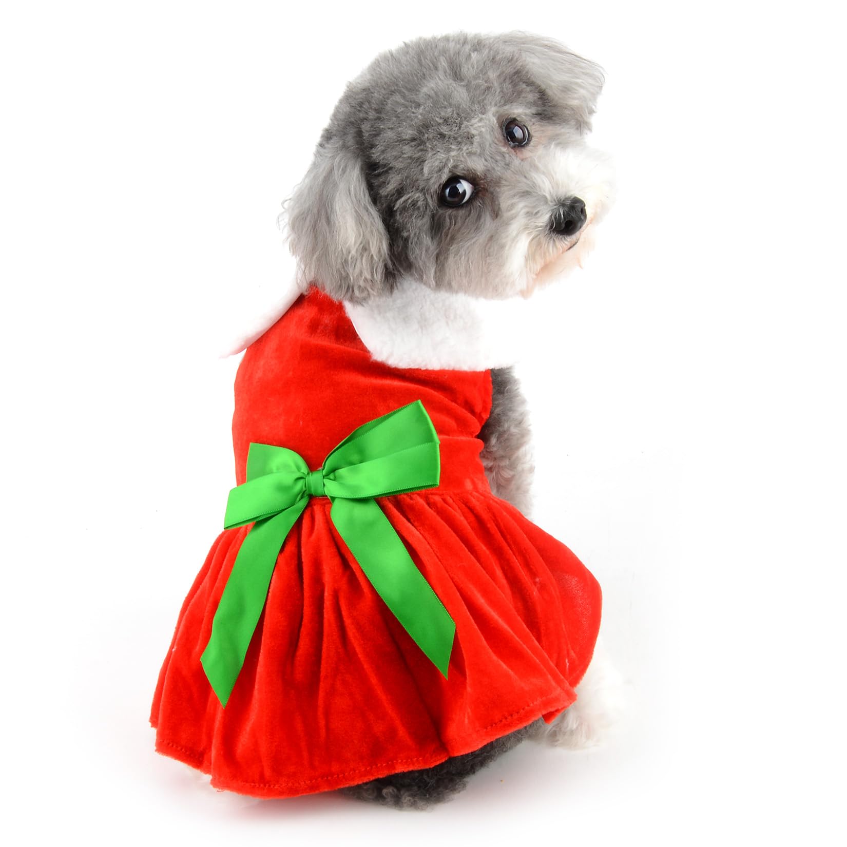 Amazon.com : Ranphy Dog Christmas Costume Puppy Santa Claus Dress
