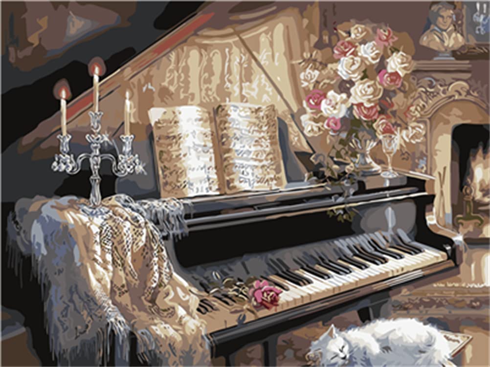 Meecaa Paint by Numbers Piano Flower Kit for Adults Beginner DIY Oil Painting 16x20 inch (Piano, No Frame)
