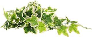 Abaodam Planta De Simulação De Rastreador Planta Suspensa Videiras Répteis Videiras Plantas Decoração De Tanque De Répteis Pendurado Videiras Falsas Réptil Planta Falsa Plantas Anfíbias