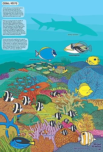 Under Water, Under Earth - Image 6