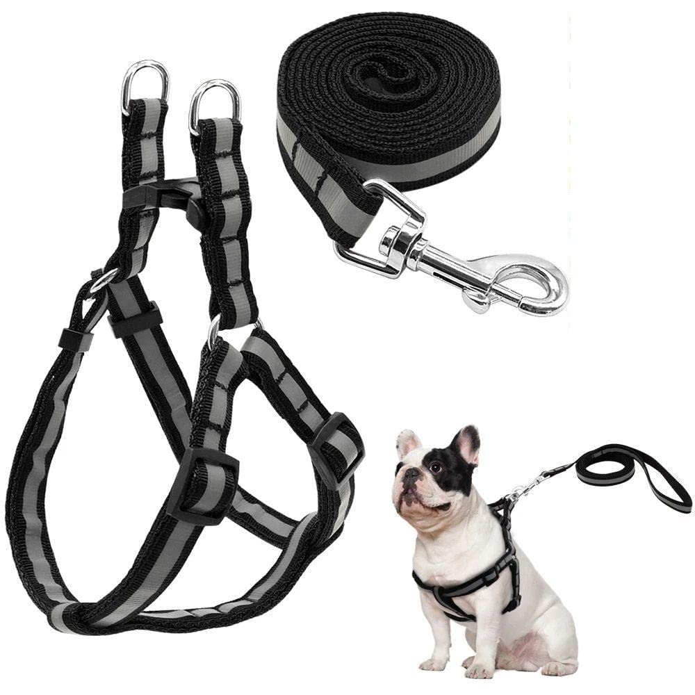 See full amazon price history chart for Pups&Pets Adjustable Soft Nylon Strip Radium Dog Harness & Leash Set for Puppies and Small Breed Dog Reflected Harness & Leash Set 15mm ( (Black Color) Pups&Pets Adjustable Soft Nylon Strip Radium Dog Harness & Leash Set for Puppies and Small Breed Dog Reflected Harness & Leash Set 15mm ( (Black Color) (B0B31W57ZV) Amazon Price History, Amazon Price Tracker