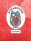 Steampunk Owl Planner: Mechanical Owl