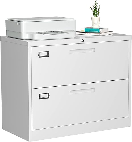 LISSIMO Archivador lateral con 2 cajones, archivador de bloqueo para oficina en casa, gabinete de almacenamiento de metal para tamaño cartalegal con