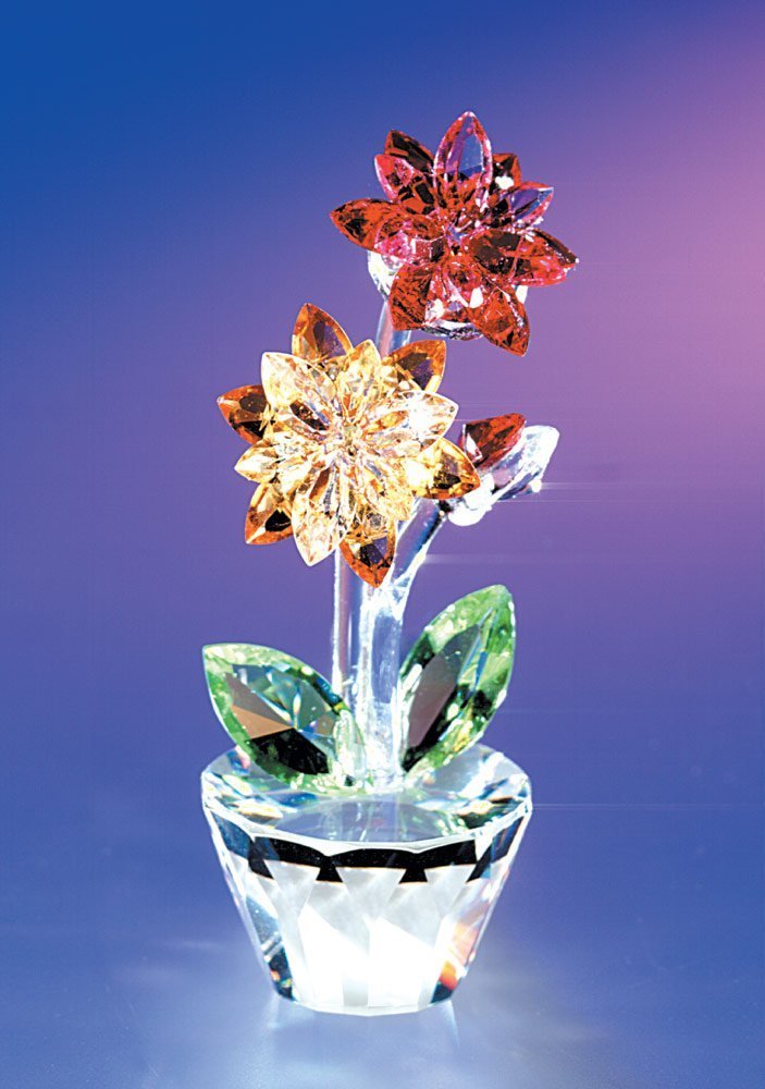 Amazon.co.jp: Crystal World ガーベラ : ホーム＆キッチン