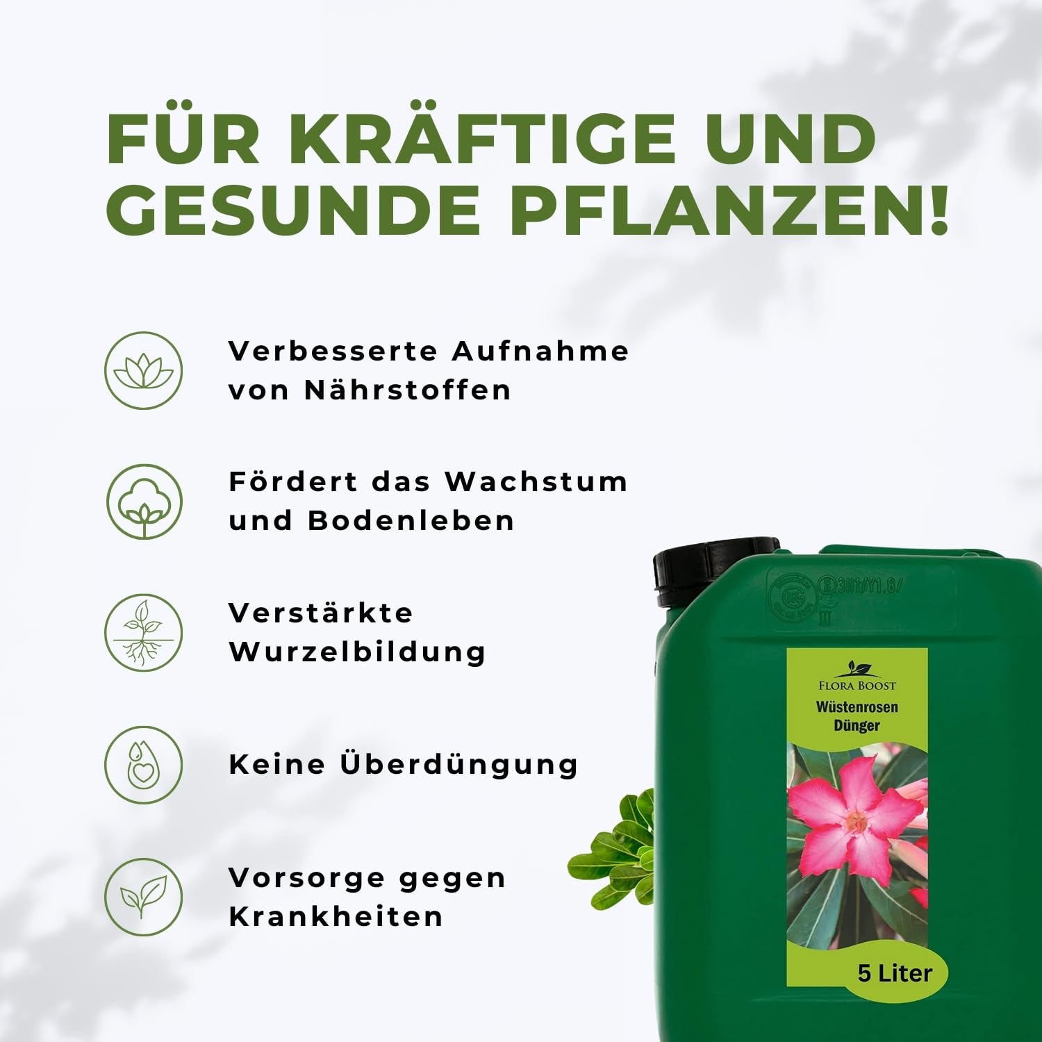 Wüstenrosen Dünger Flora Boost 5000ml I Für bis zu 1000L Gießwasser I Langzeit Blumendünger für Rosen I Flüssiger Blatt- & Wurzeldünger I 100% natürlicher Pflanzendünger