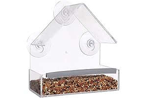 Captivating Glass House Bird Feeder: A Window to the Wild