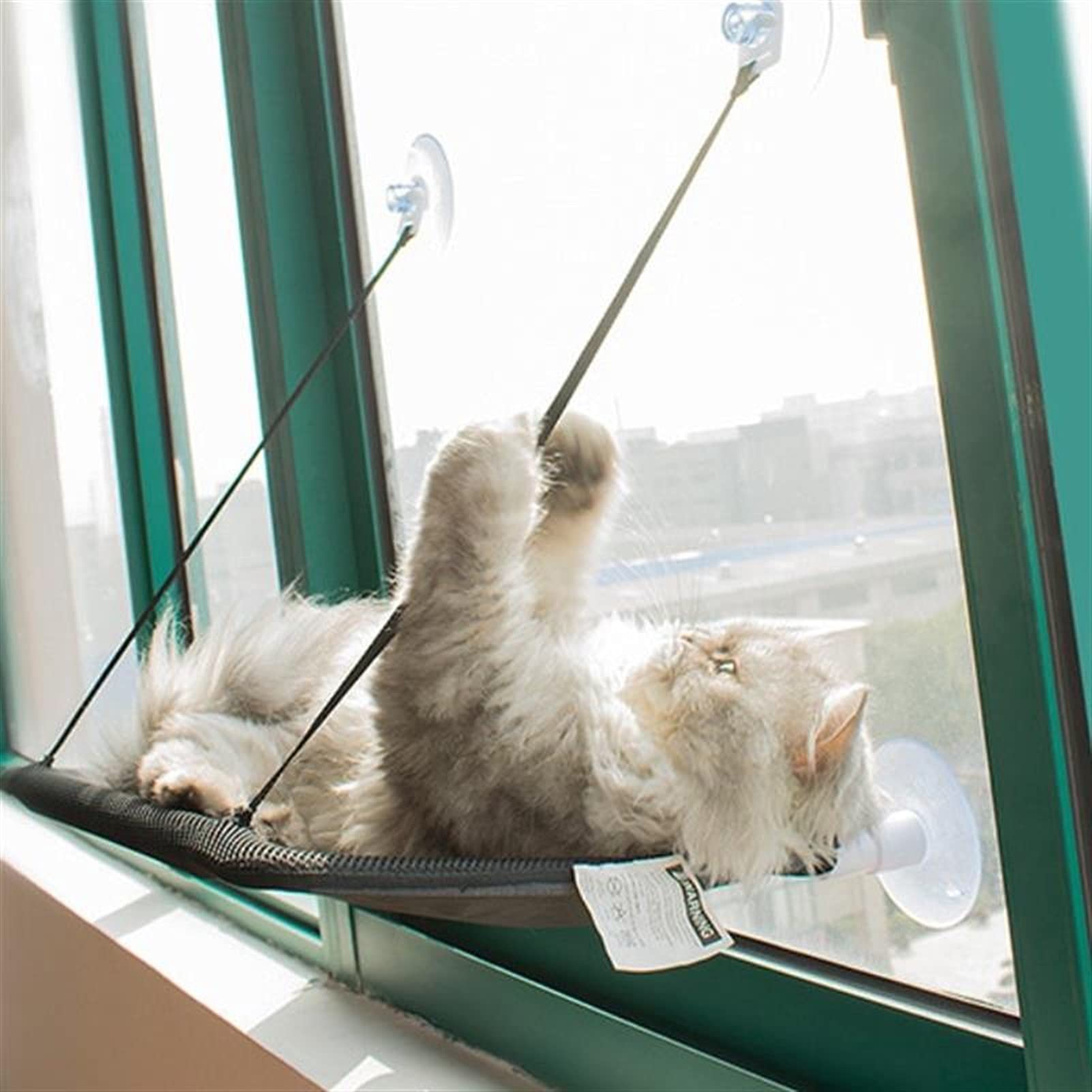 Hamaca de Gato Hamaca de la Ventana del Gato, la Perca de la Ventana del Gato, la Cama de la Ventana del Gato se Mantiene hasta 55 Libras Hamaca para Mascotas