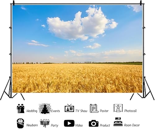 Miniatura 3 de Telón de fondo de campo de trigo dorado, 7 x 5 pies, rústico, otoño, tierras de cultivo de trigo, cosecha de grano de trigo, desierto, cielo azul,