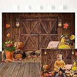 Mocsicka Autumn Fall Pumpkin Barn Backdrop Rustic Wooden Fall Thanksgiving Background Pumpkin Harvest Children Kids Portrait Portrait Photoshoot Studio Props (7x5ft)