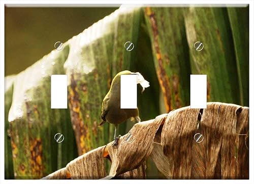 Interruptor Placa Triple Palanca - Naturaleza Quimbaya Quindio Colombia