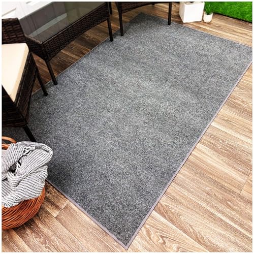 KOECKRITZ 5' x 10' Indoor/Outdoor Area Rug – Fade...