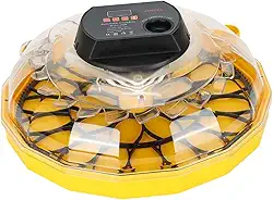 Incubadora de ovos, chocadeira de galinha, janela transparente, multiuso, incubadora de aves, máquina de chocar aves para pato, codorna, ganso,