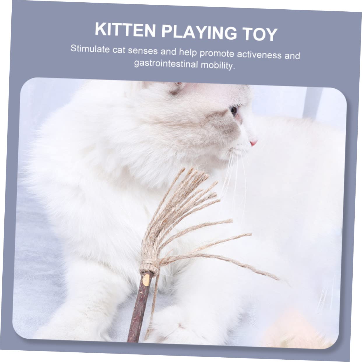 Jouets pour Chats, Lot de 6 Jouets interactifs légers et Portables for Animaux Compagnie, à mâcher, for Chatons Chats