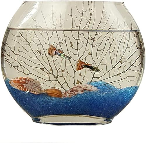 Scifimp tbgAANAeʁAk͔|AؔAfXNgbv̑AAȉ~`A20cm