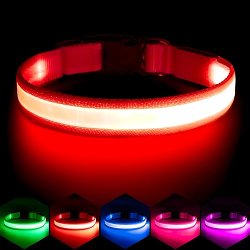 Vizpet Collar para perro con luz LED, ajustable, recargable por USB, superbrillante, luz de seguridad, collar brillante para perros (grande, rojo)