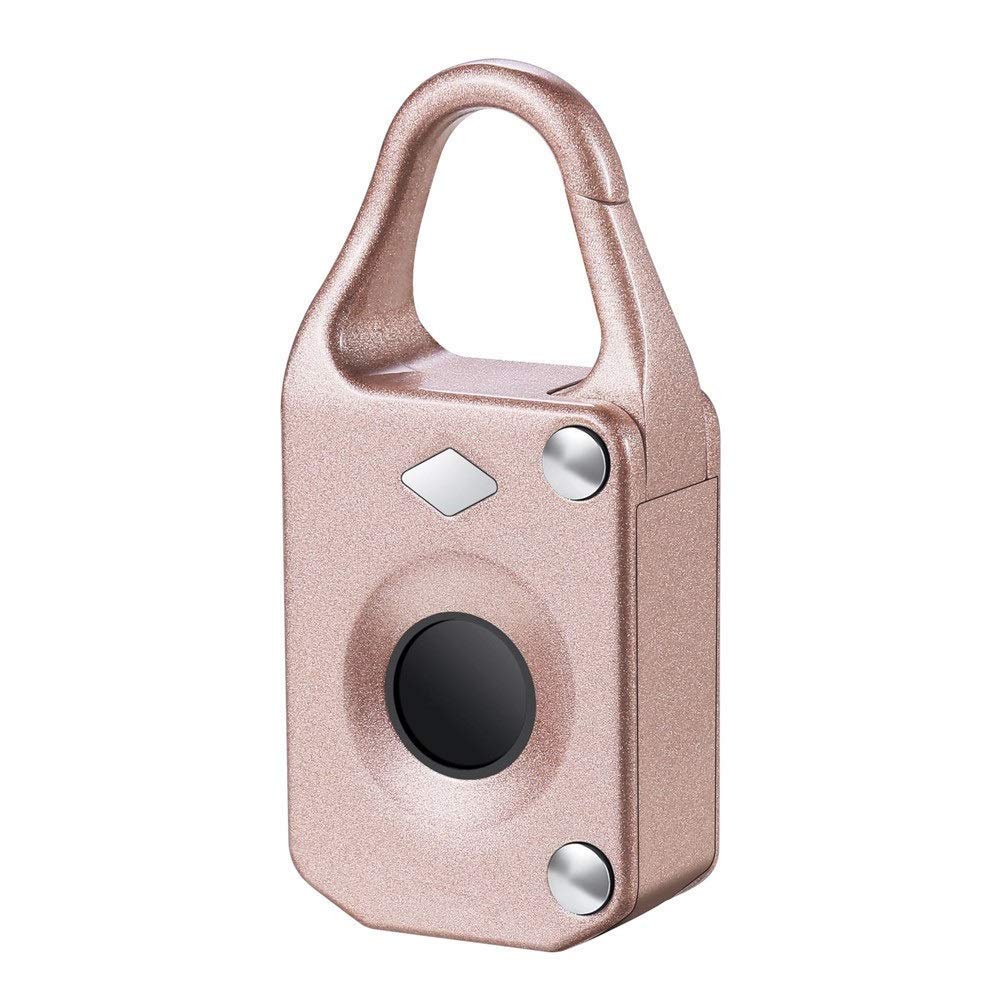 Cadenas empreinte digitale en métal étanche pour casier et sac