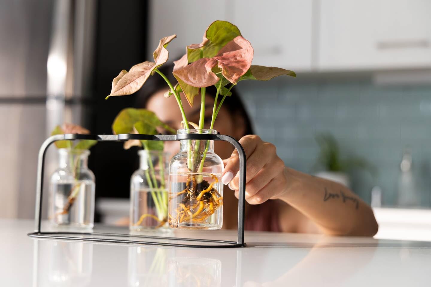 Fiskars Plant Care Propagation Station