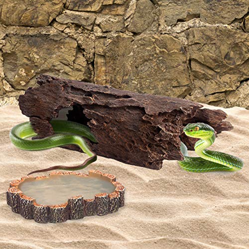 Orchid Valley Reptile Water Bowl or Food Dish. Hamster Sand Bath Container. Suit Gecko, Snake, Turtle, Bearded Dragon… - Image 8