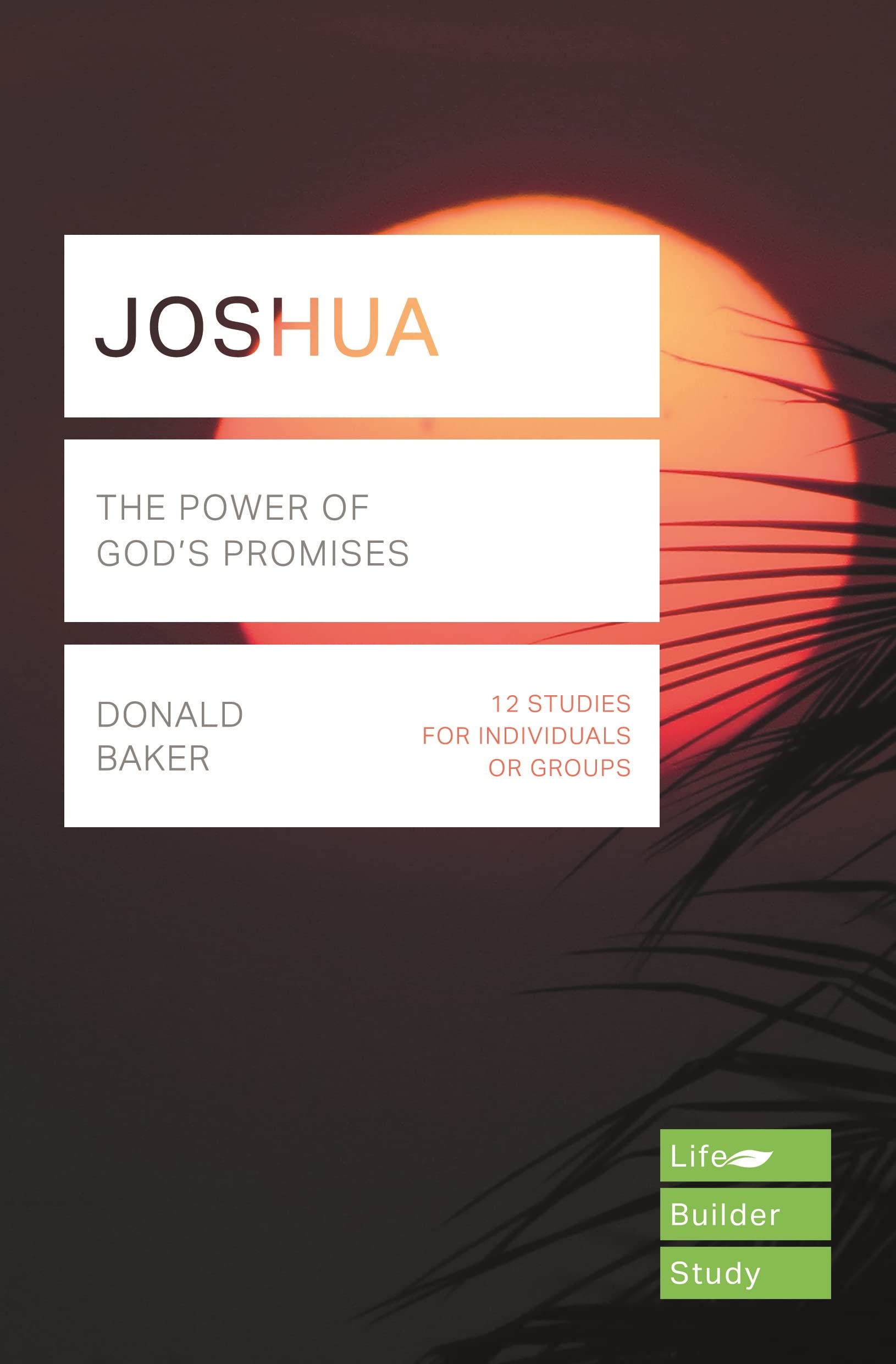 Joshua (Lifebuilder Study Guides): The power of God's promises (Lifebuilder Bible Study Guides)