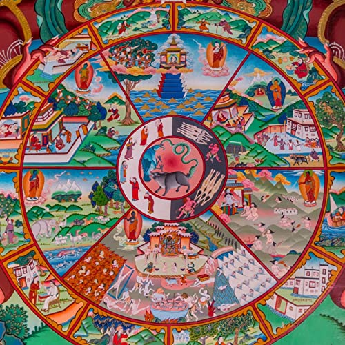 Quante anime esistono?