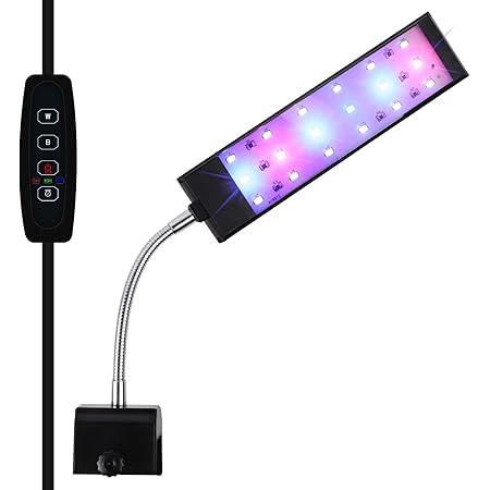 Amazon テトラ Tetra Ledミニライトled Mini テトラ Tetra ライト 照明 通販 Amazon テトラ Tetra Ledミニライトled Mini テトラ Tetra ライト 照明 通販