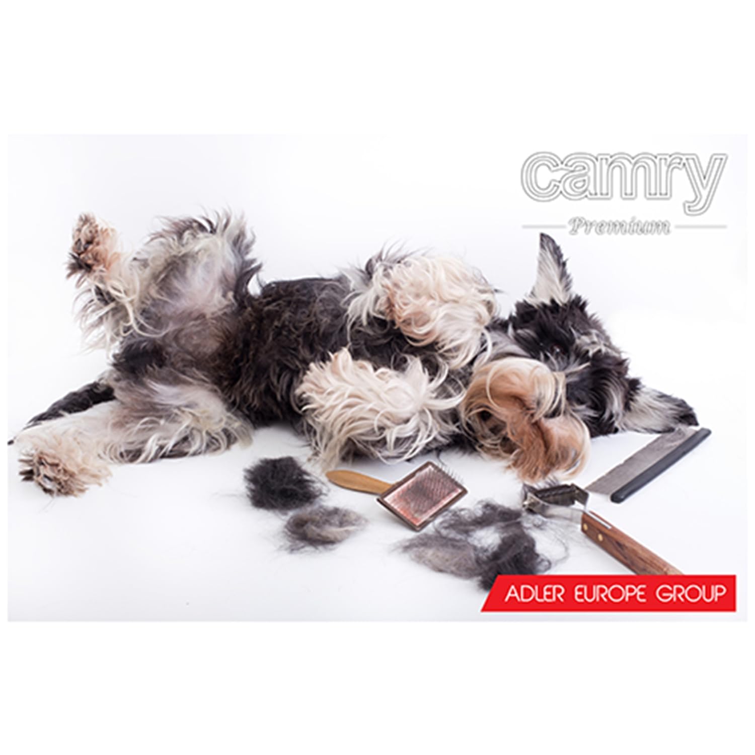 Camry CR 2821 Cortapelos para Mascotas, Perros, Gatos, Profesional, cabezal titanio, cuhillas cerámicas, inalámbrica 2 x bateria recargable, bajo Ruido y Vibración, 4 Peines para Pelo Rizado, Ondulado, Largo de Animales, 35W