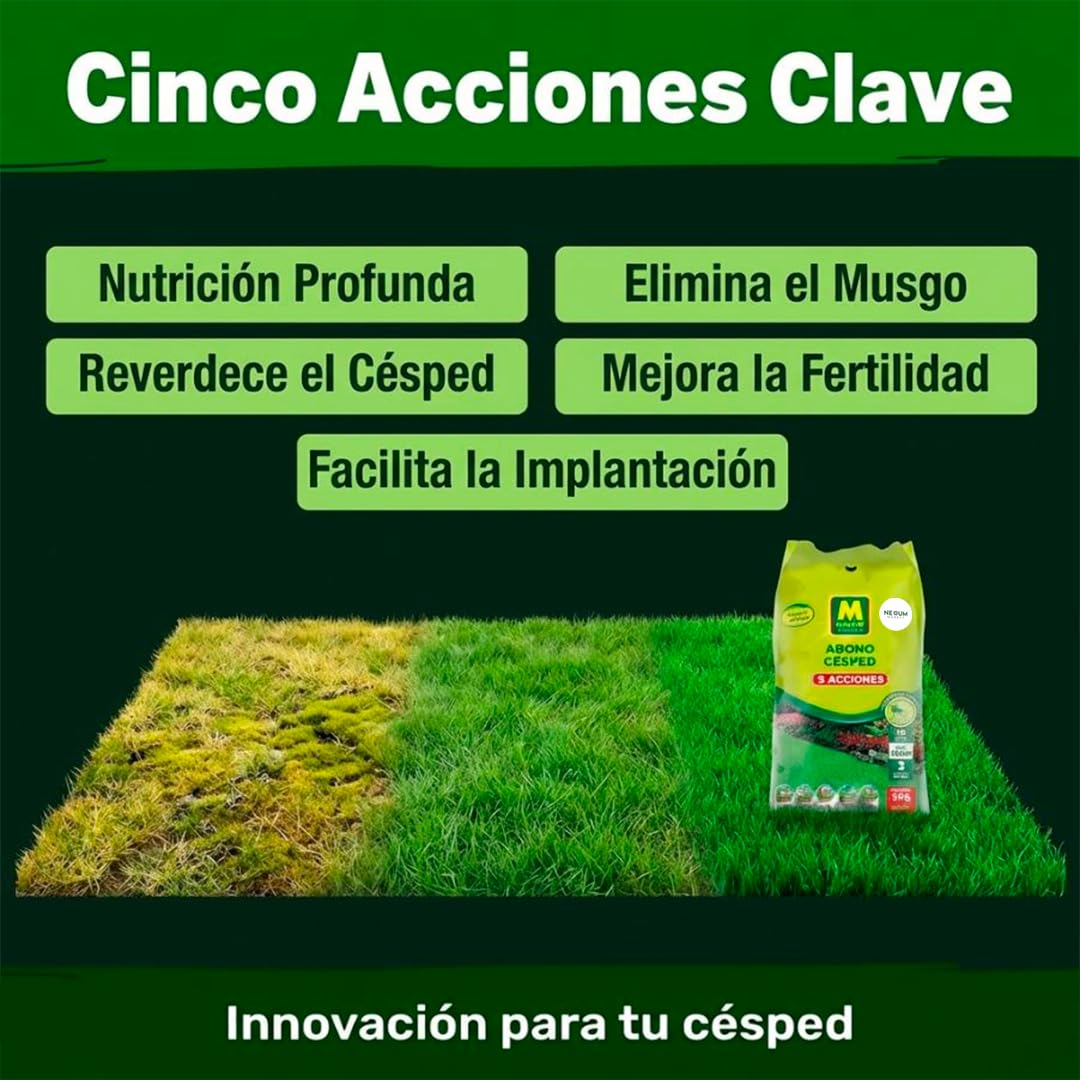 Abono Césped Granulado con 5 Acciones | Aplicación Directa a Mano de Liberación Lenta | Revitaliza y Mantiene Césped | Anti-Musgo, Reverdecedor y Fertilizante | Nexum Market (6 KG)