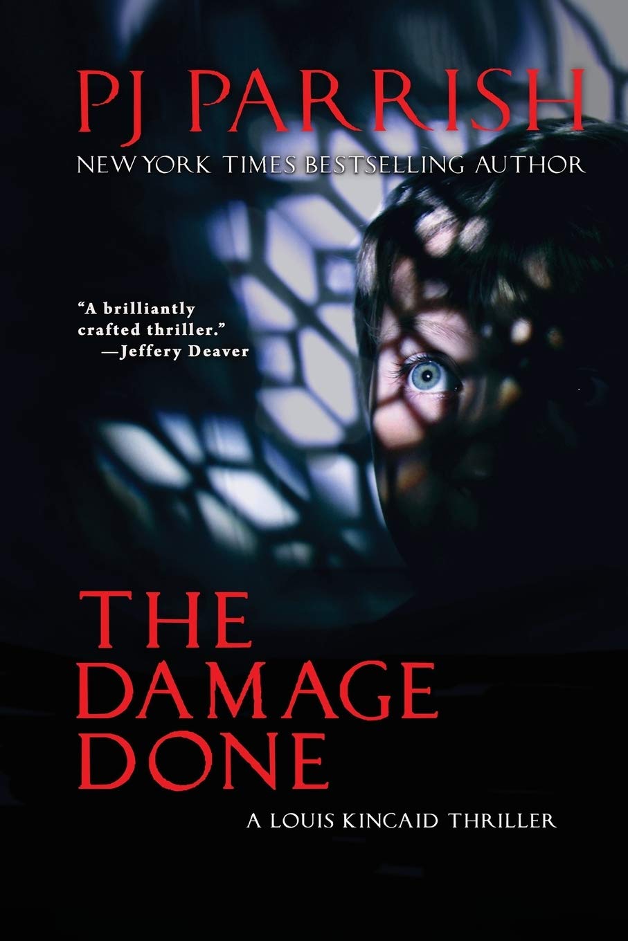 The Damage Done: A Louis Kincaid Thriller #12 (Louis Kincaid Mystery Series)