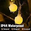 Product Photo 4