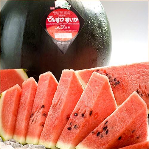 Amazon 北海道産 スイカ Ja当麻 共撰 でんすけすいか 1玉入り 良 優品 1玉 10kg 暑中御見舞 残暑御見舞 ギフト 贈り物 果物 お取り寄せ 北のデリシャス すいか 通販