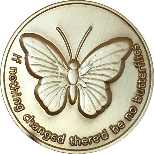 RecoveryChip If Nothing Changed There'd Be No Butterflies Bronze Serenity Prayer Medallion Butterfly Pocket Token