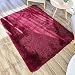LNGVBF Tapis antidérapant | Tapis en Peluche, Tapis Moelleux en Fourrure Artificielle | Tapis, adapté à la décoration de la Maison, Coussin de canapé de Salon (vin Rouge, 80x120cm)