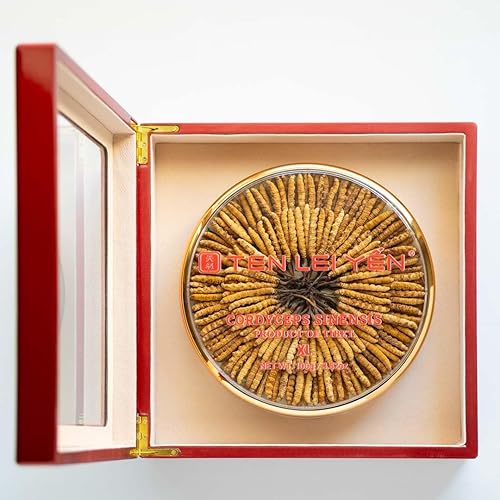 Miniatura 2 de Cordyceps Sinensis entero cultivado del Tíbet  Extra grande  3.52 oz