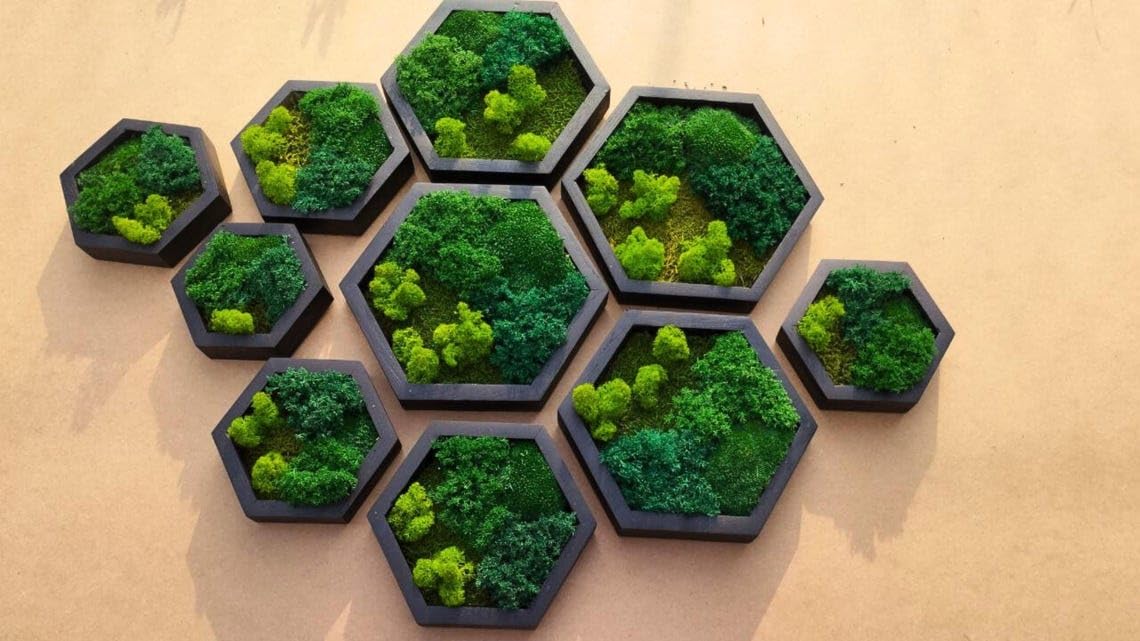 Moss Hexagons