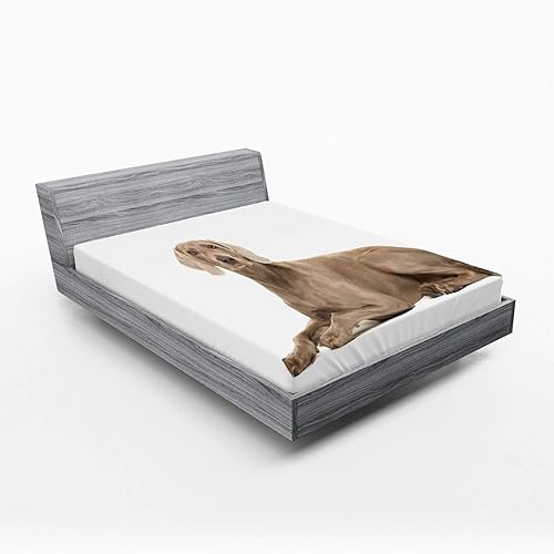 Miniatura 19 de Ambesonne - Sábana bajera ajustable multicolor, en colores y tres tamaños Azul y gris,Verde Militar Sage Green,Ámbar beige,Negro Grey White,Azul