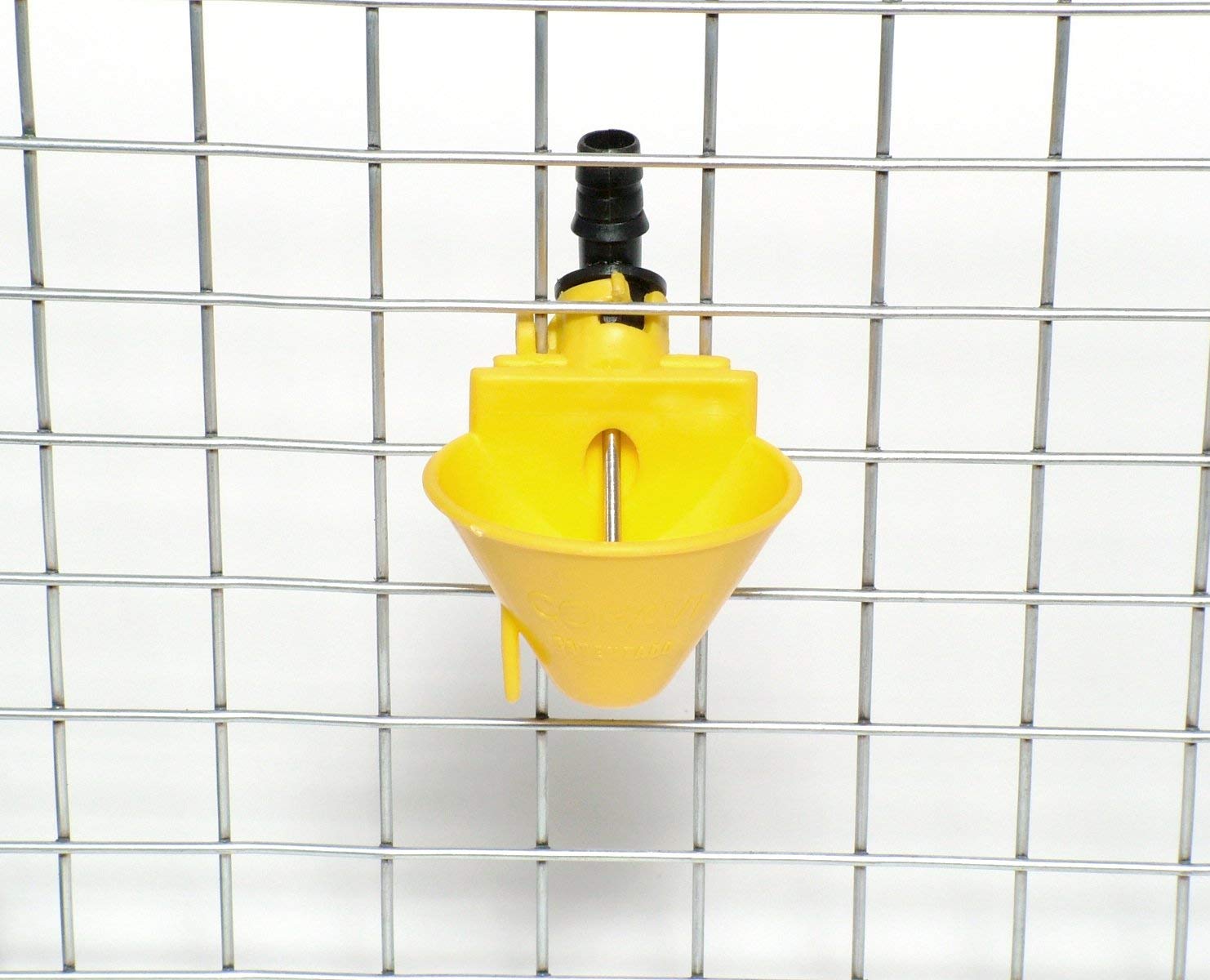 Pezzi 4 Abbeveratoio Automatico per polli, Galline, Pulcini, quaglie, colombi, e avicoli in Genere,