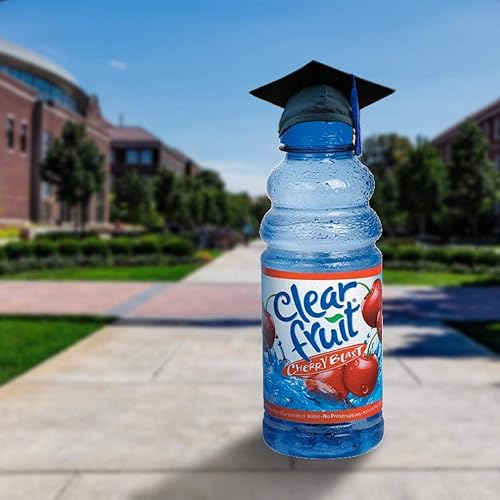 Miniatura 3 de Paquete de 12 botellas de agua de frutas transparentes de 20 onzas sin gas (Berry Delight)