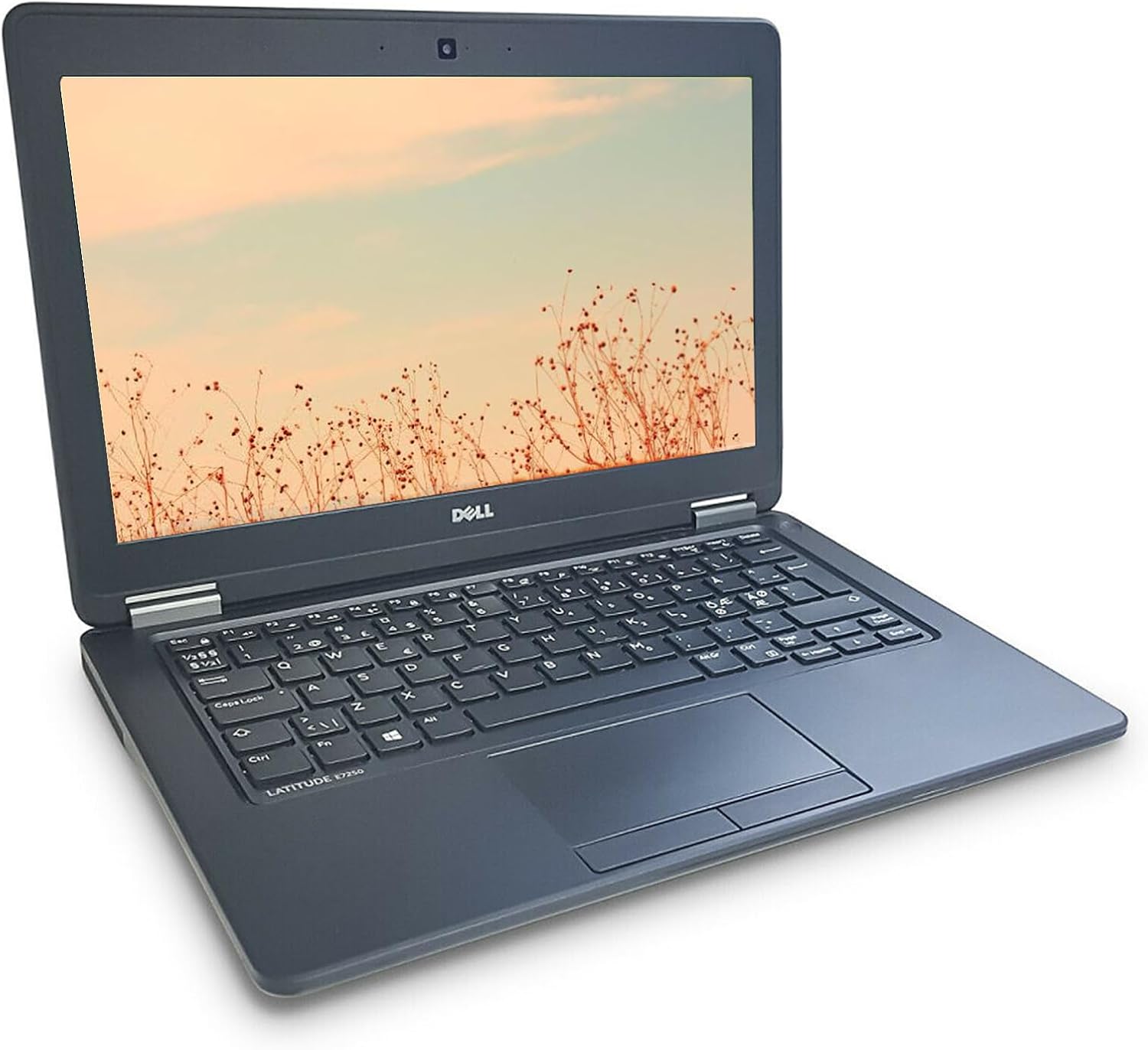 Dell Latitude E7250 Intel i5-5300U 2.30Ghz 8 GB RAM ...