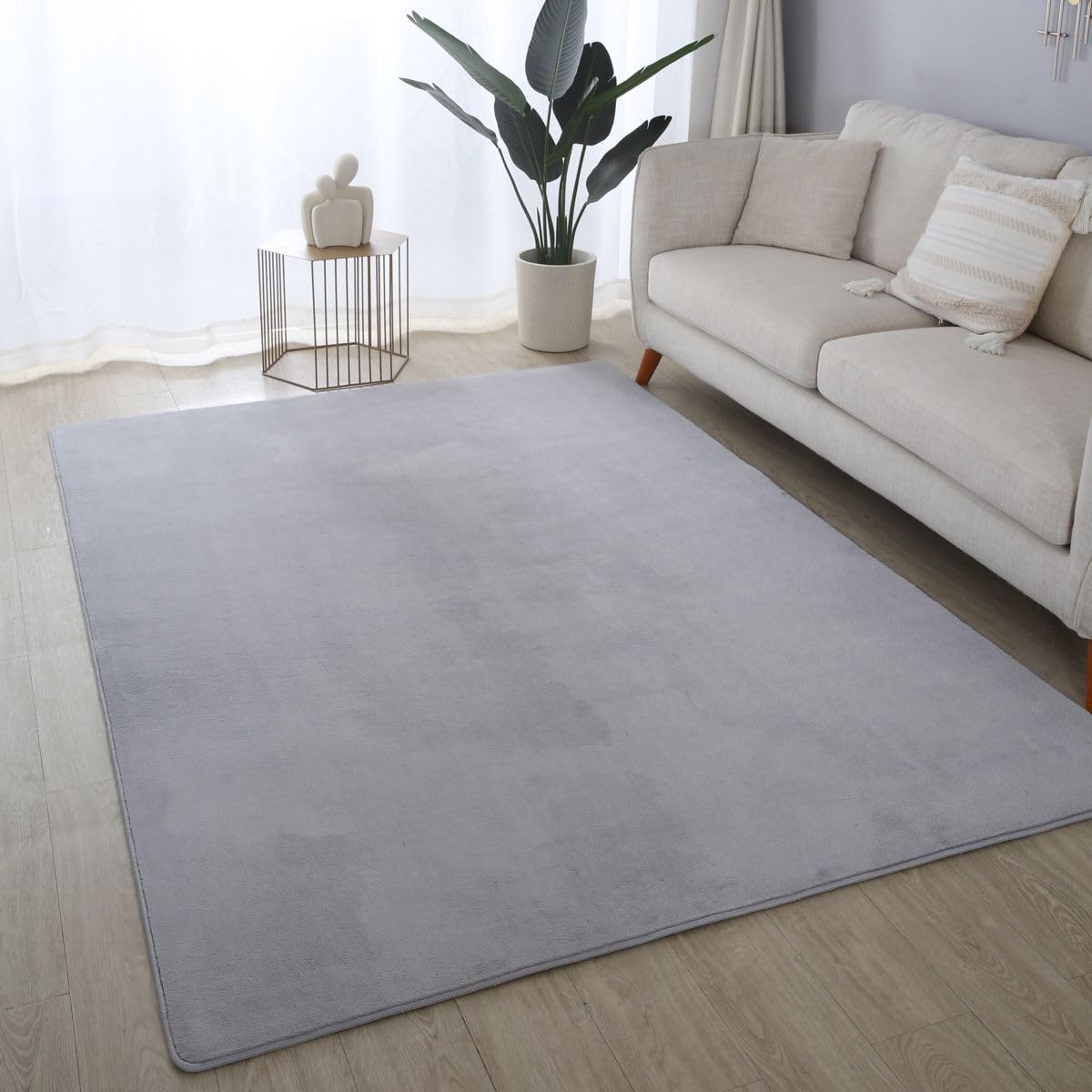 Ultra Soft Plush Anti-Slip Carpet Mat Living Room Large Area Rugs Modern Floor Bedroom Extra Large Size Non Shedding (Silver, 200 x 290 cm)