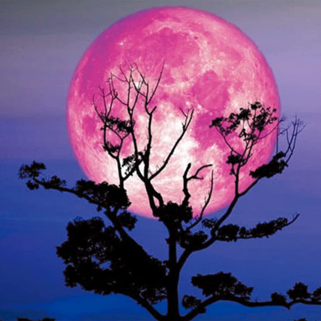 Cross Stitch Kits Stamped, OWN4B Moon Night Tree Printed Pattern 11CT 14.2x14.2 inch DIY Embroidery Kit (Night)