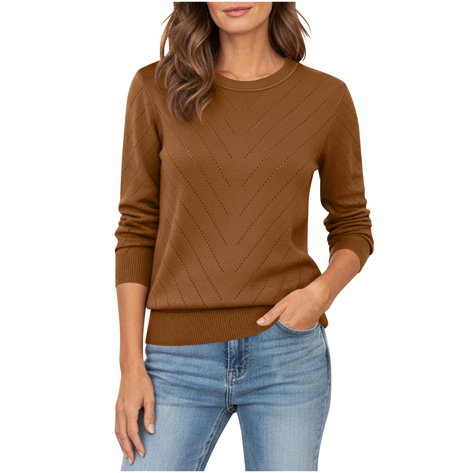 Womens Fashion Sweaters Crew Neck Long Sleeve Crochet Knit Tops Soft Cozy Pullover Sweaters Casual Dressy Shirts