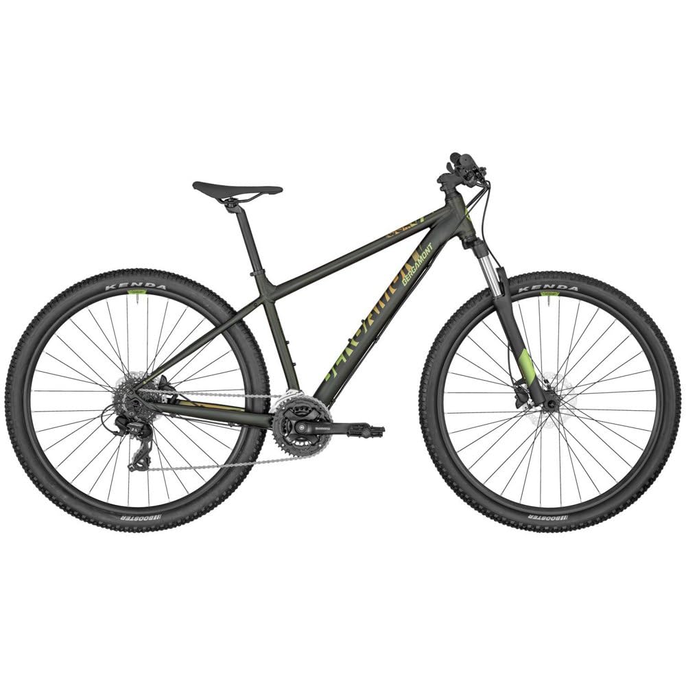 Bergamont Revox 3 29 Zoll MTB 24-Gang Kettenschaltung grn : Amazon.de:  Sport & Freizeit