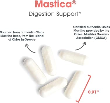 ARG Mastica Chios Mastic Gum Resin Digestive, 240 Capsules