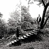 timberwolf  Timber Timbre (Clear)