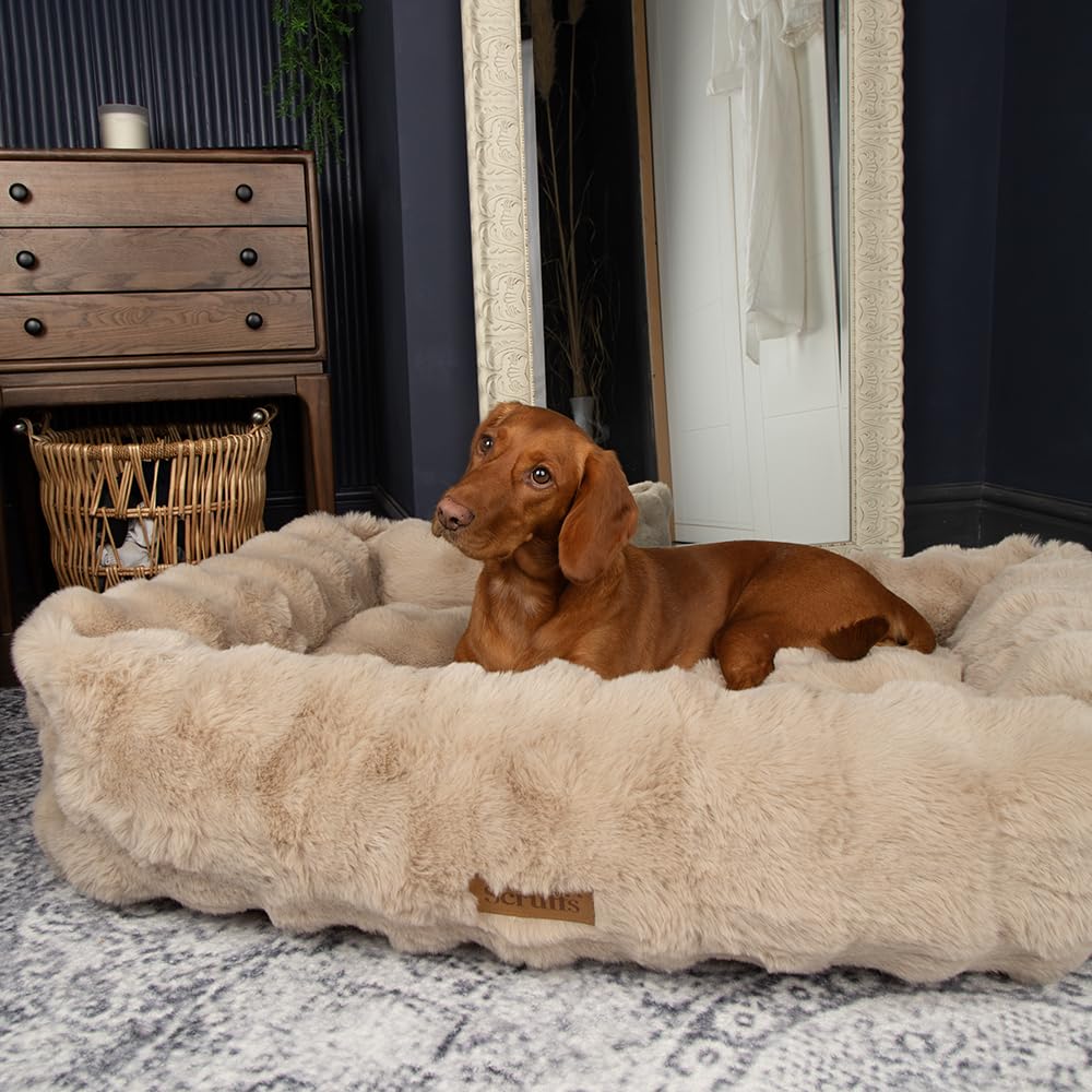 Julian Charles Cream Scruffs Alpine Champagne Box Pet Bed - Xl (90X70cm)