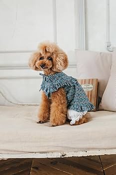 商用OK! おしゃれな犬のお洋服: 重ね着＆上下コーデも楽しめる
