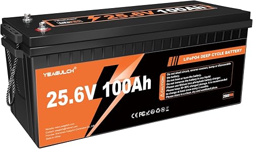 24V 100Ah LiFePO4 Lithium Battery Built-in 100A BMS 2560W…