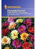 Kiepenkerl - Blumen-Saatgut