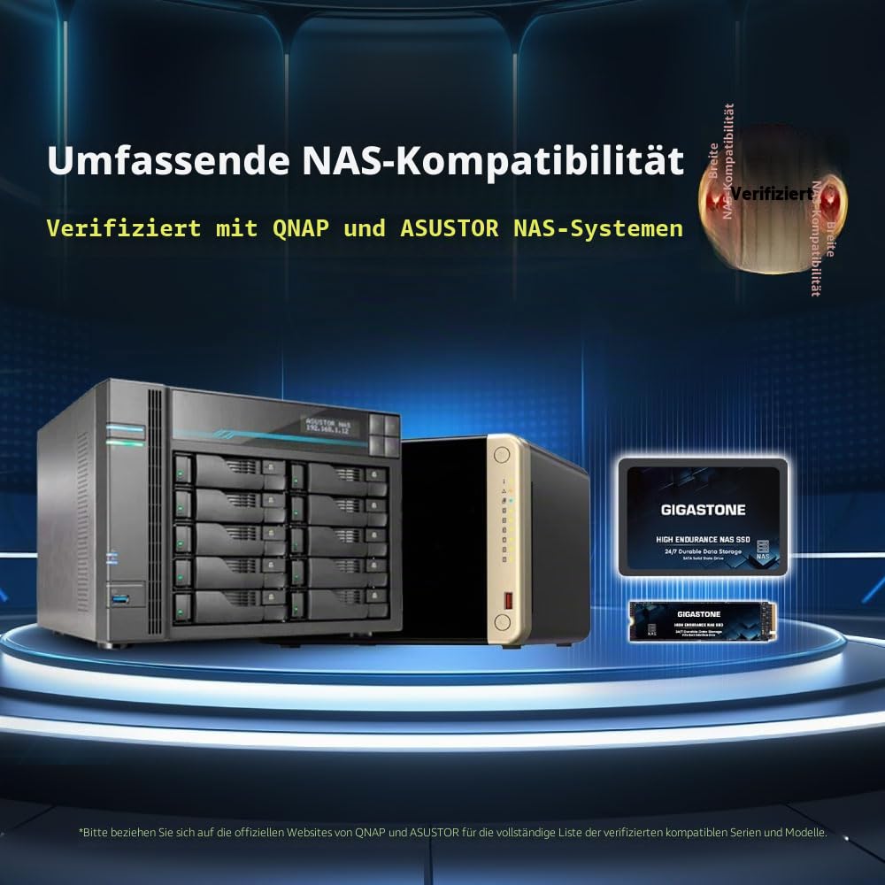 Gigastone NAS Zertifiziert 512GB SSD Festplatte (2er-Pack) TLC Hohe Dauerhaltbarkeit SSD für 24/7 Dauerbetrieb NAS-Systeme RAID 2,5 Zoll SATA III Internes Festkörper-Laufwerk SSD Caching