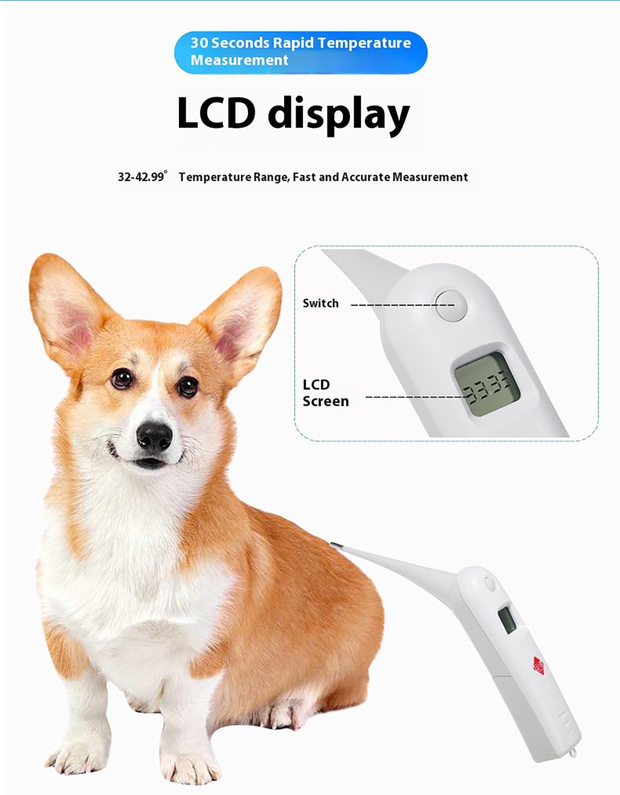 Termometro Digitale Veterinario per Animali Domestici con Batteria e Cordino, misurazione Rapida della Temperatura rettale per Cavalli, Mucche, maiali, Cani, Pecore e pollame